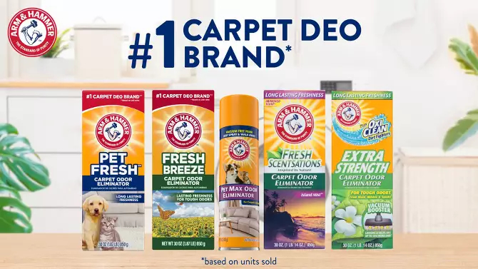 Haushalts-Teppichreinigungspul – Kitchen Baking Soda Bewertung und Preis
